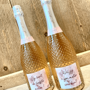 Grote fles Freixenet