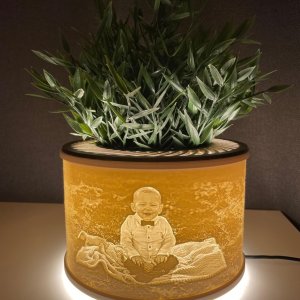 Plantenlamp